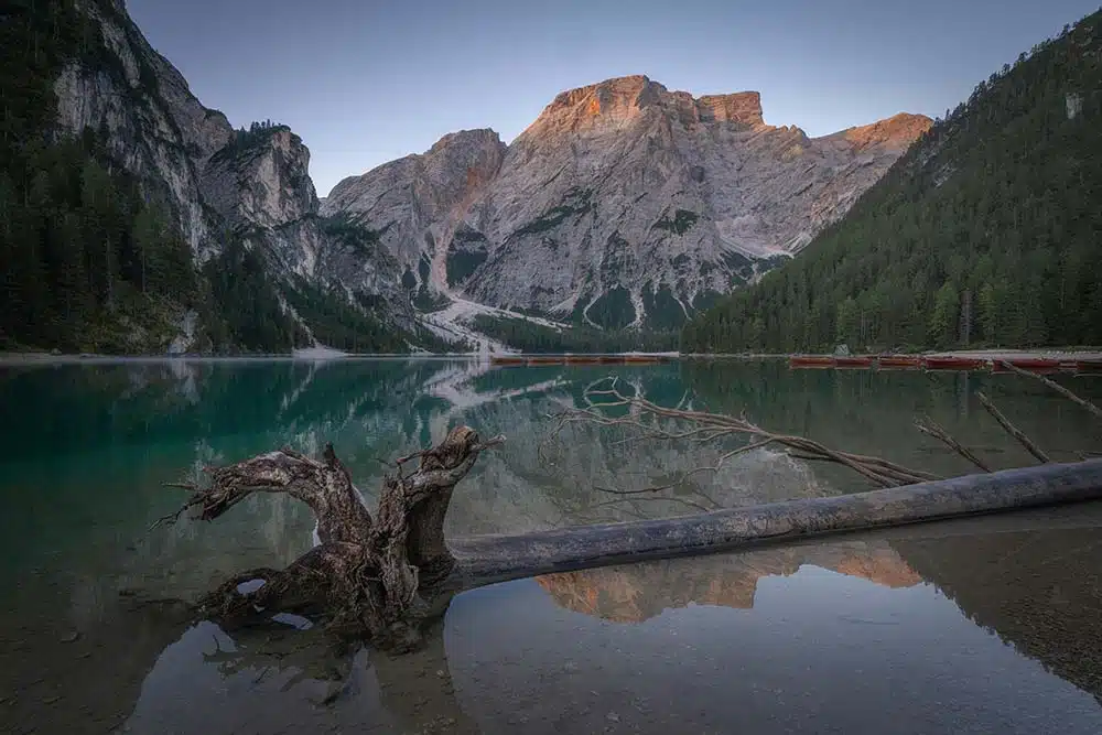 mountains reflected in a serene lake with fallen tree