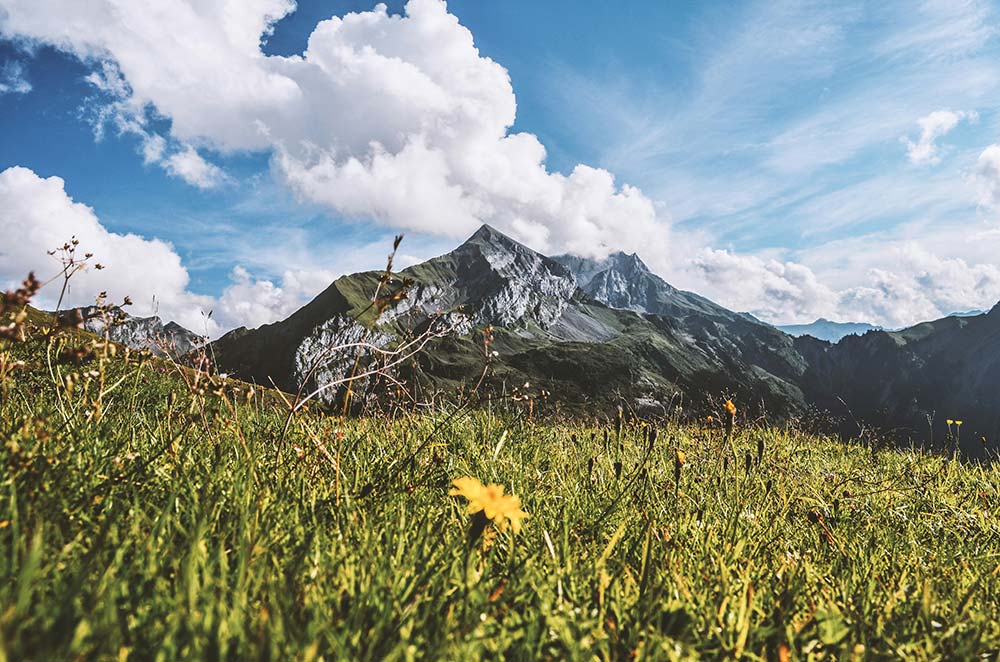 Green Grass Field in Front of Mountain